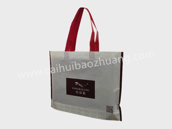 彩匯包裝 山東環保手提袋  手提袋廠家